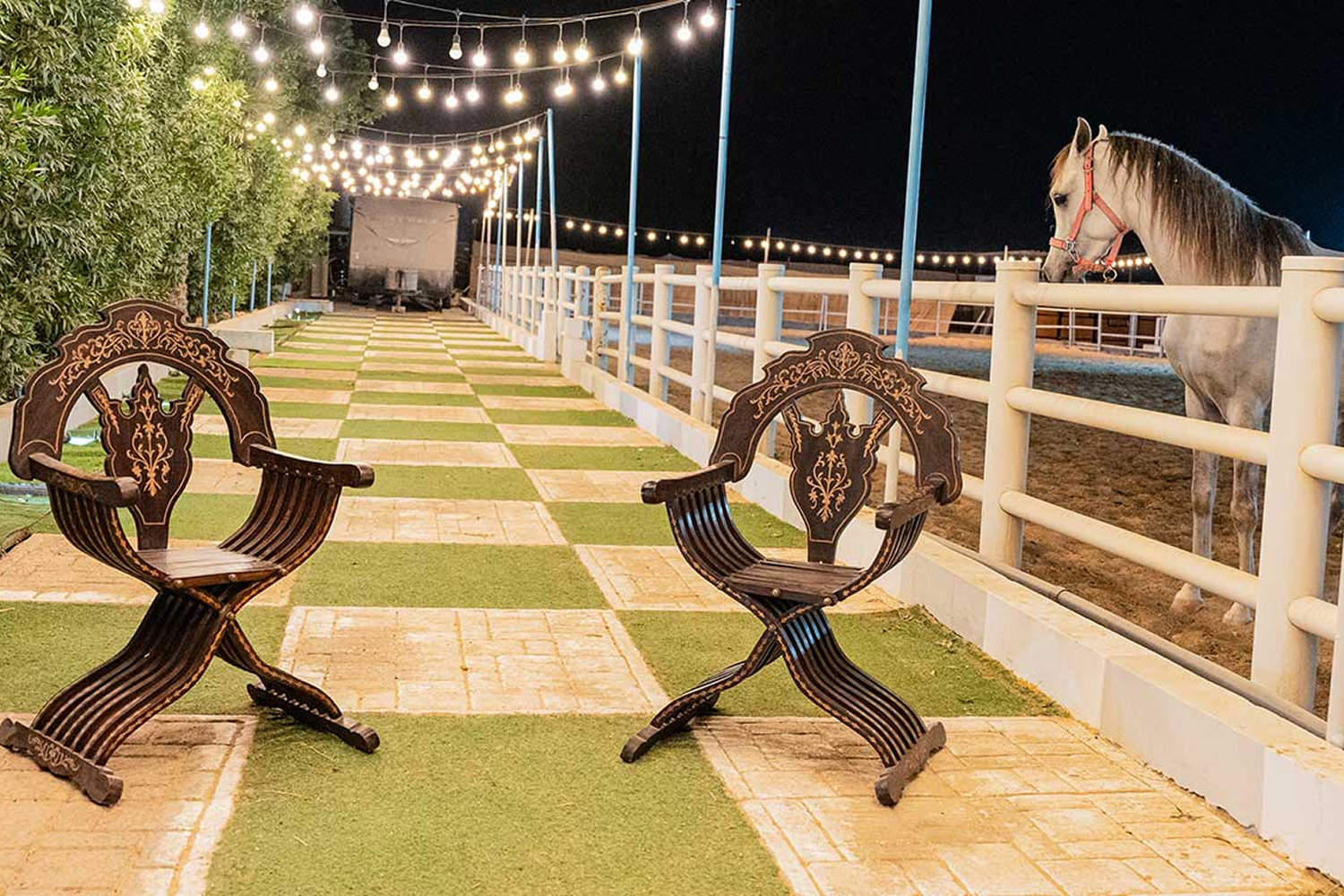 الإعلانات والتعاونات