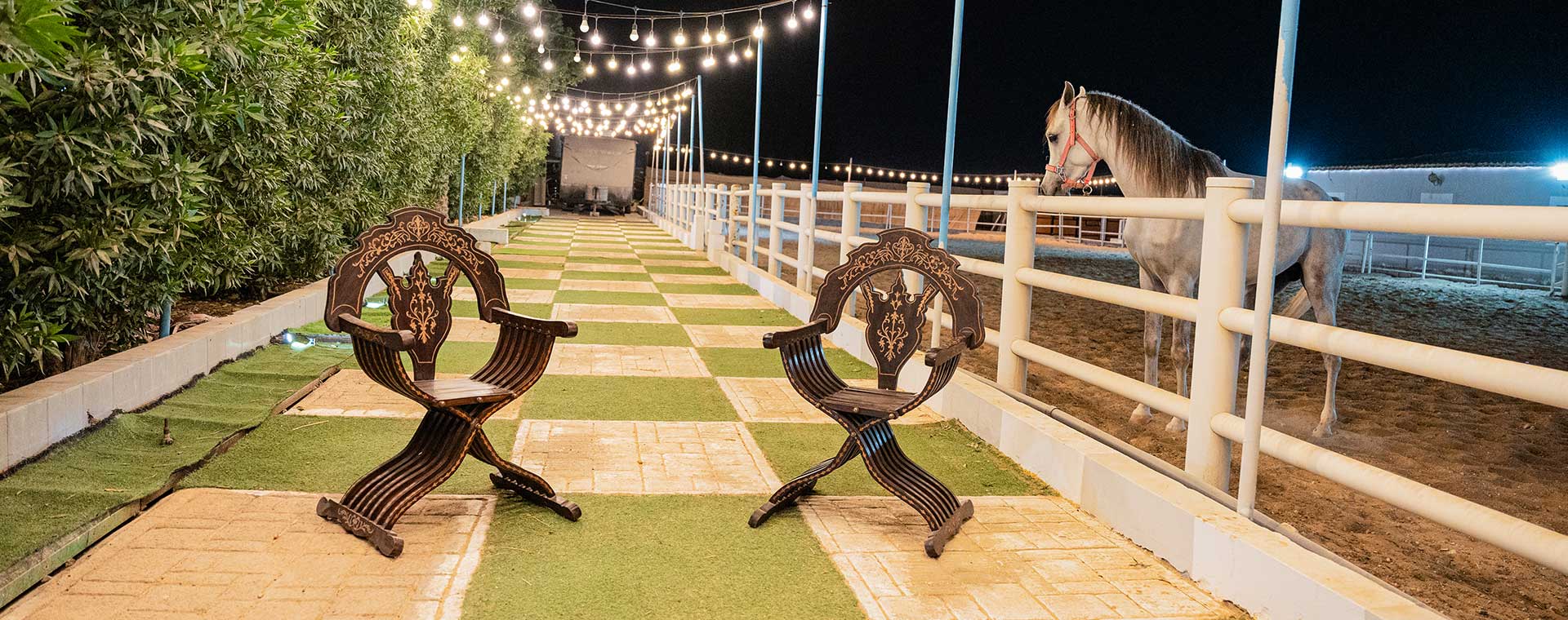 تجربة ركوب + تصوير